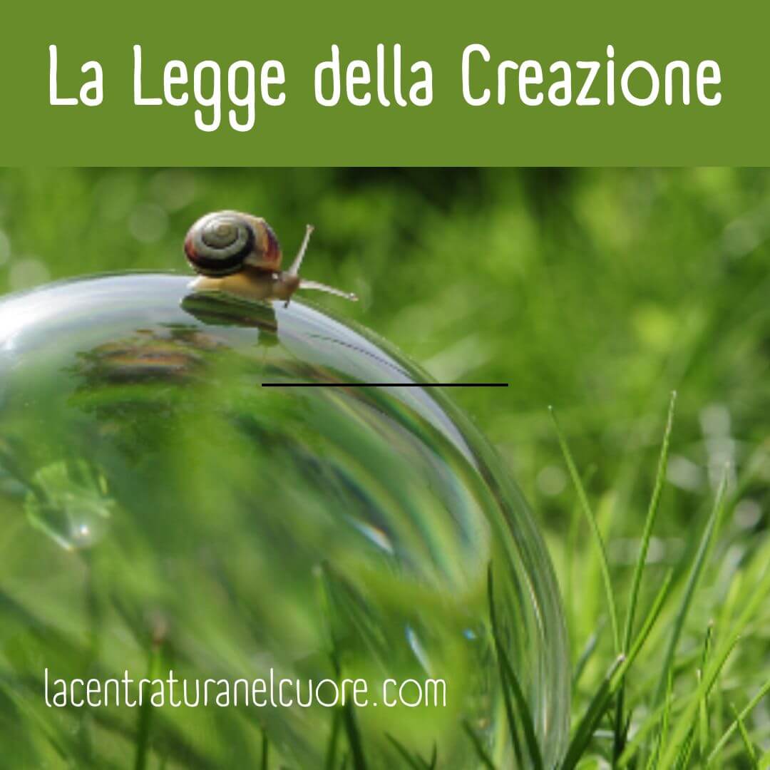 La Legge della Creazione
